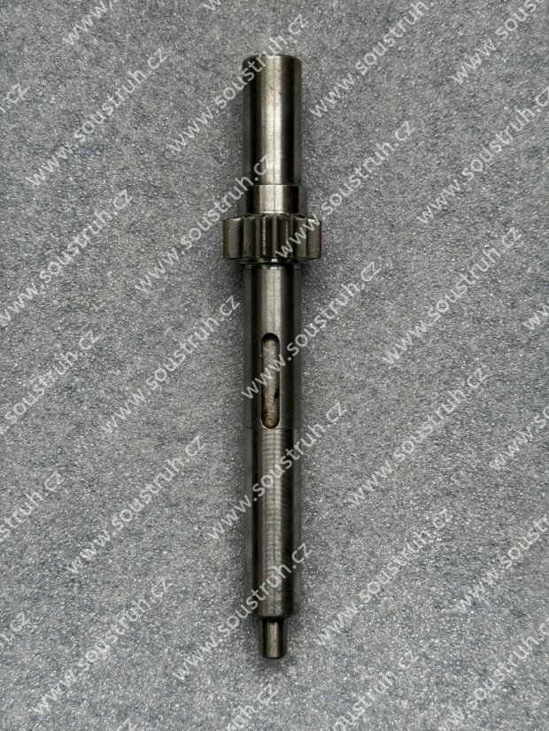 Pastorek - 14 zubů