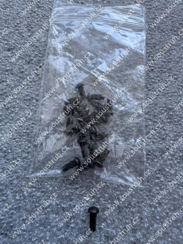 Nýt s půlkulatou hlavou 2x5mm - 20ks